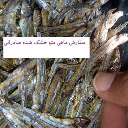 ماهی متو خشک شده صادراتی