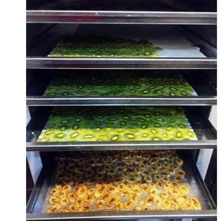 میوه خشک کن و سبزی خشک کن خانگی 7 سینی برقی مدل 17133