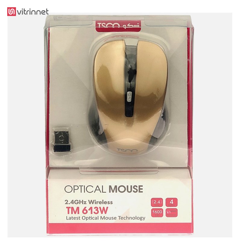 ماوس بی سیم TM613W V