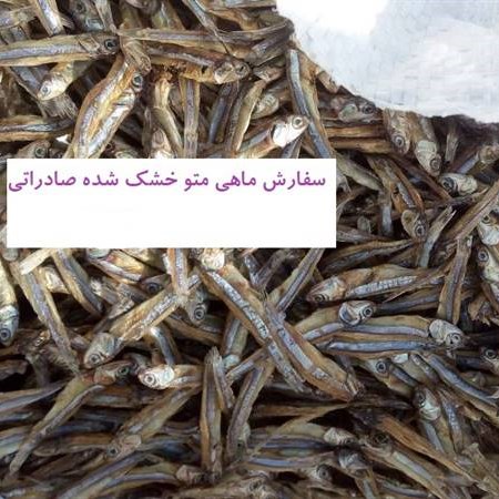 ماهی متو خشک شده صادراتی