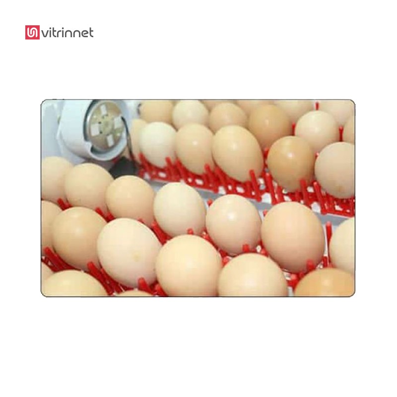 دستگاه جوجه کشی خانگی ایزیباتور 48 تایی