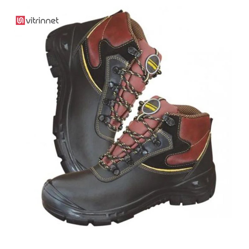 کفش ایمنی پاتن