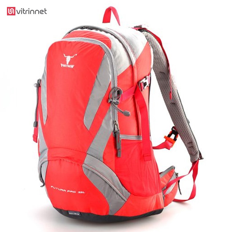 کوله 22 کله گاوی