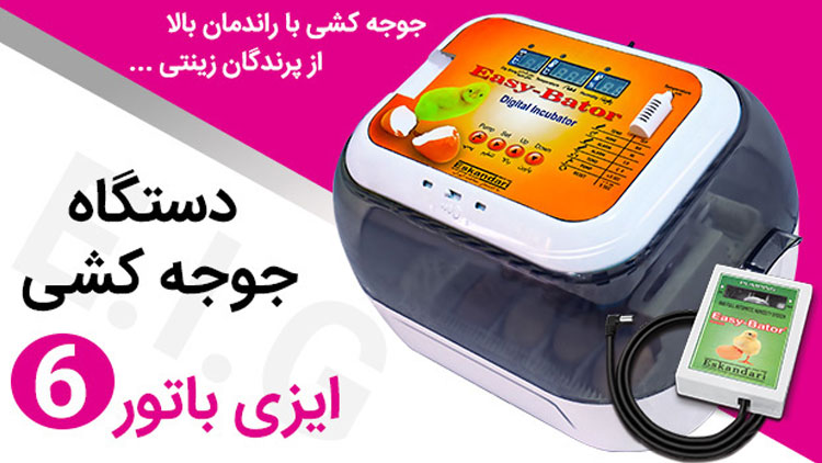 دستگاه جوجه کشی ایزی باتور 6