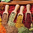دستگاه آسیاب صنعتی مدل TS 2200 دستگاه آسیاب صنعتی مدل TS 2200
