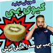 پک آمورشی میوه خشک ( همراه با مربی پشتیبان )