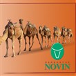شتردوش شیردوش شتر
