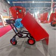 فرغون باسکول دار 700 کیلویی 