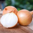سورتینگ و بسته بندی میوه و سیفی جات برای باغداران تره بار صادرکنندگان
