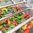 دستگاه شستشوی سبزیجات و میوه جات