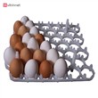 شانه تخم مرغ 42 عددی مناسب دستگاه جوجه کشی