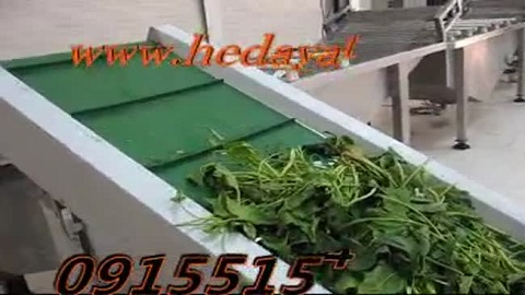 دستگاه سبزی پاک کن